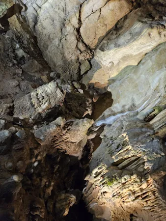 Bild von Bärenhöhle