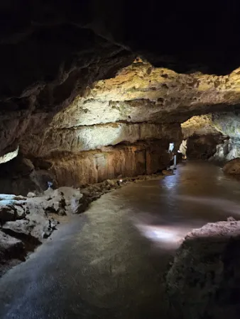 Bild von Bärenhöhle