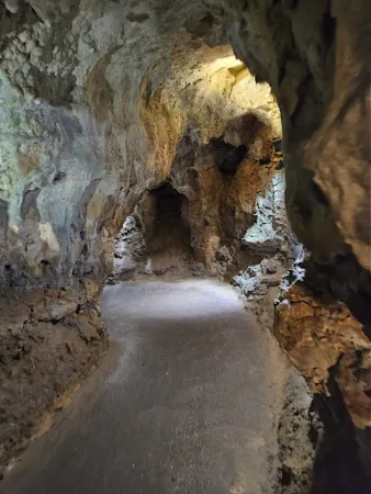Bild von Bärenhöhle