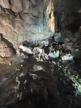 Bild von Bärenhöhle