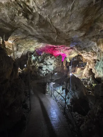 Bild von Bärenhöhle