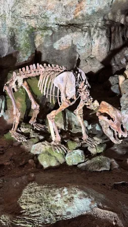 Bild von Bärenhöhle