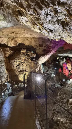 Bild von Bärenhöhle
