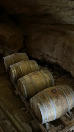Bild von Bärenhöhle