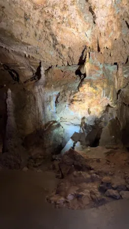 Bild von Bärenhöhle