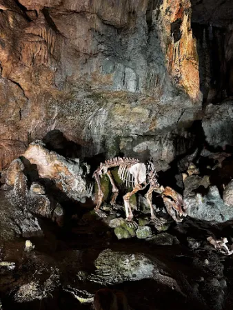 Bild von Bärenhöhle