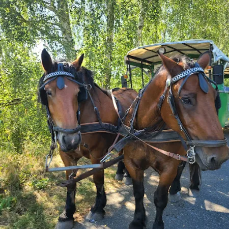 Bild von Kutscherstube