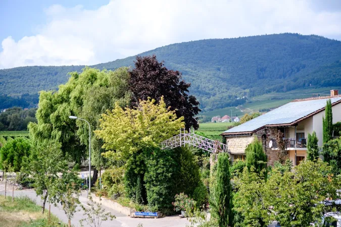 Bild von Weinstube Marienhof