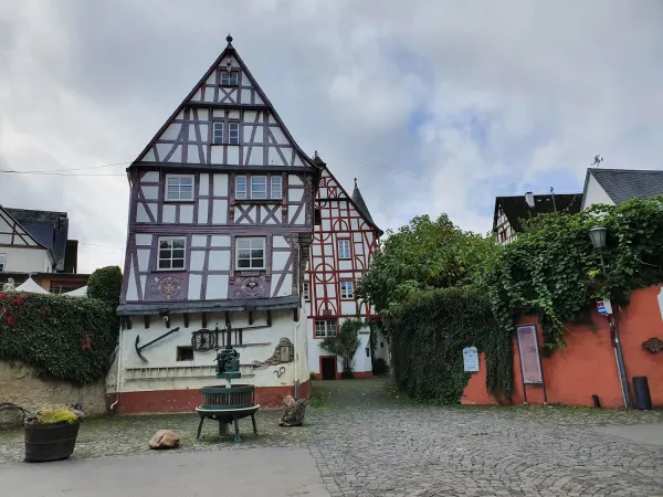 Bild von Annie De Bock