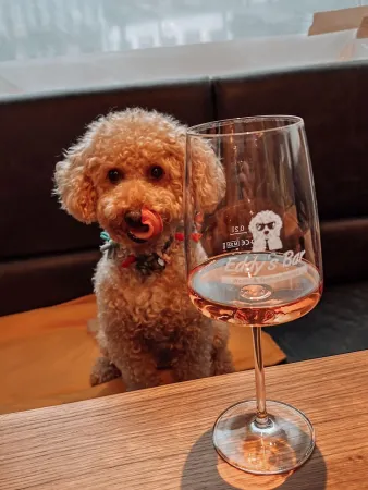 Bild von Eddy’s Bar, Wein- und Genusslounge