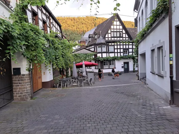 Bild von william riley