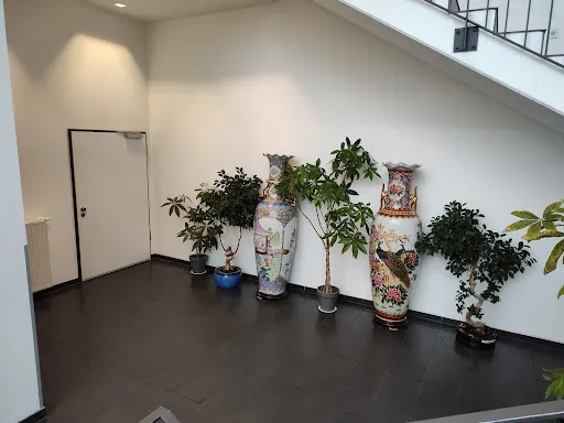 Bild von Mongolisches Restaurant Asia Perle