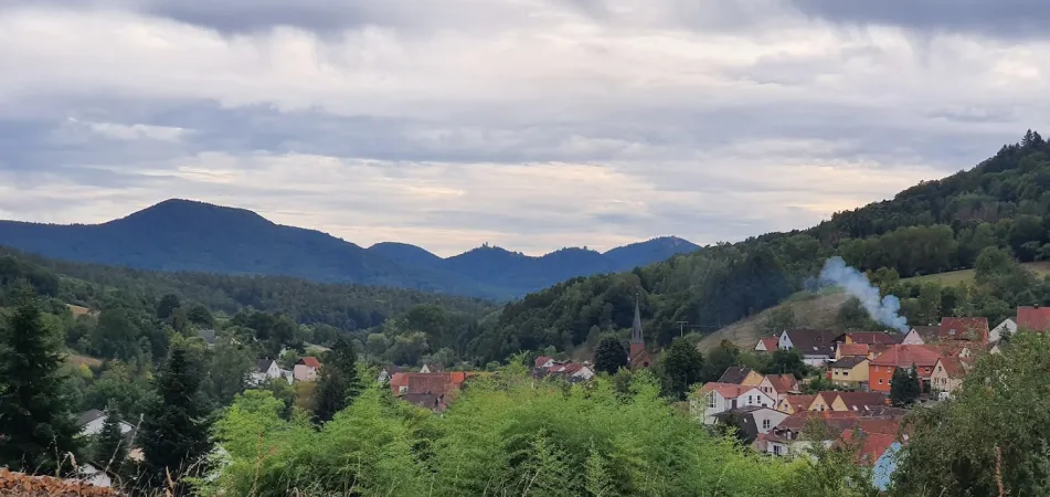 Bild von undefined
