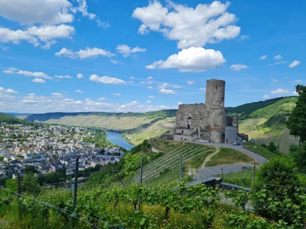 Bild von undefined