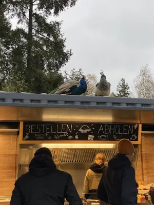 Waldhütte