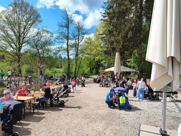 Bild von gran thinovo