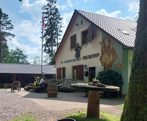 Bild von Drei Buchen