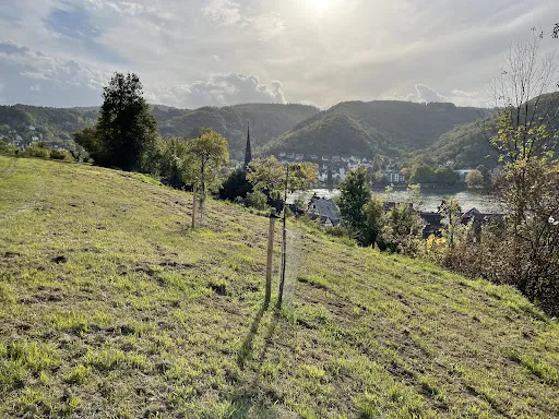 Bild von Restaurant Rheinblick