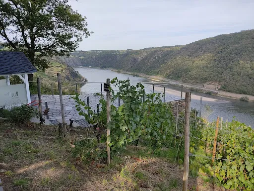 Bild von Siebenjungfrauenblick Lokal