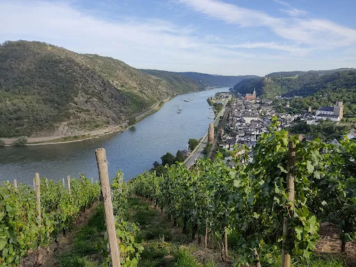 Bild von Siebenjungfrauenblick Lokal