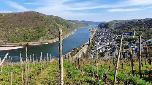Bild von Siebenjungfrauenblick Lokal