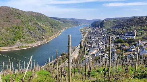 Bild von Siebenjungfrauenblick Lokal