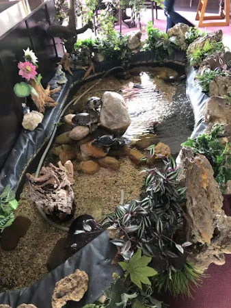 Bild von China-Restaurant Lotus