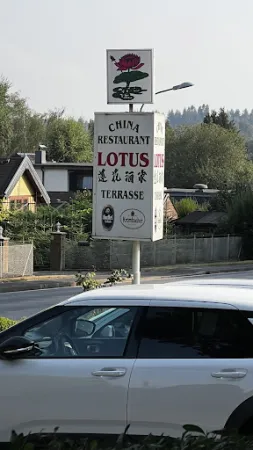 Bild von China-Restaurant Lotus