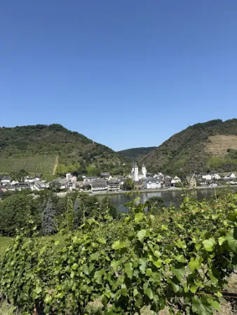 Bild von Weingut Otto Knaup