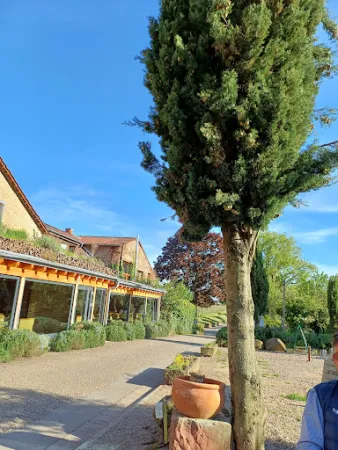 Bild von Weinstube Marienhof