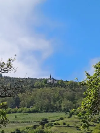 Bild von Weinstube Marienhof