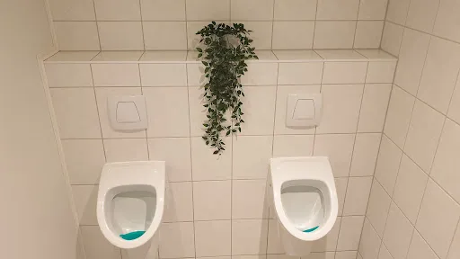 Bild von Restaurant Delphi