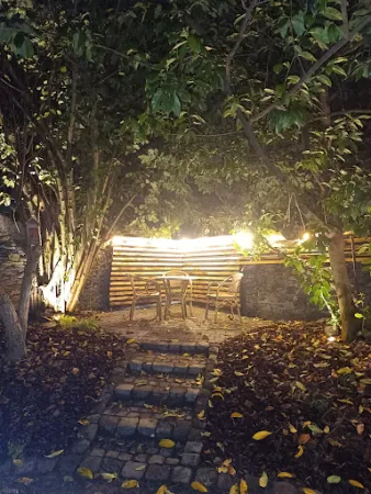 Bild von Restaurant Alt Andernach
