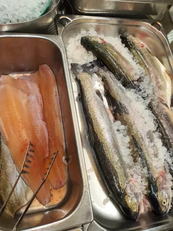Bild von Kalkalpenfisch KG