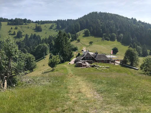 Bild von Almgaststätte Kälbelescheuer