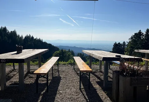 Bild von Almgaststätte Kälbelescheuer