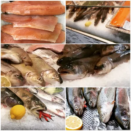 Bild von Kalkalpenfisch KG