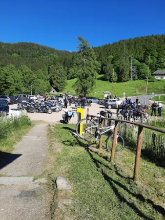 Bild von Holzschlägermatte