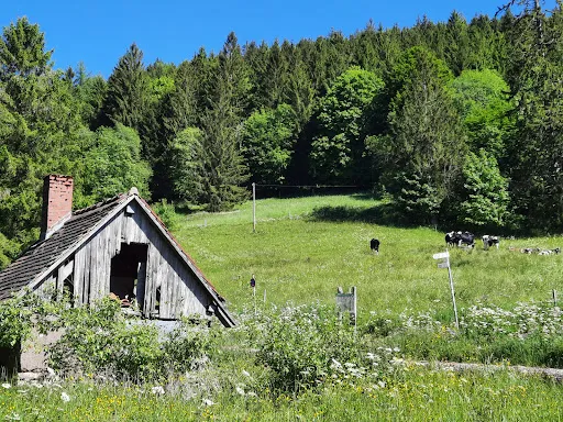 Bild von Holzschlägermatte