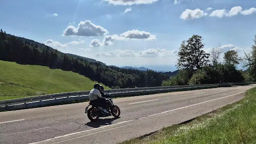 Bild von Holzschlägermatte