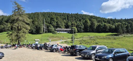 Bild von Holzschlägermatte