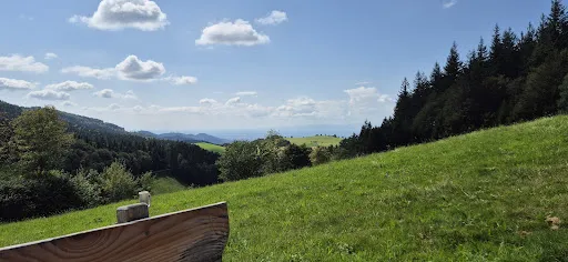 Bild von Holzschlägermatte