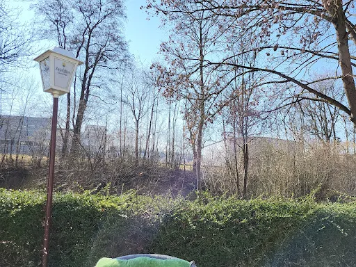 Bild von Gaststätte "Zum Hasen"