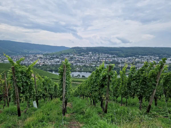 Bild von undefined