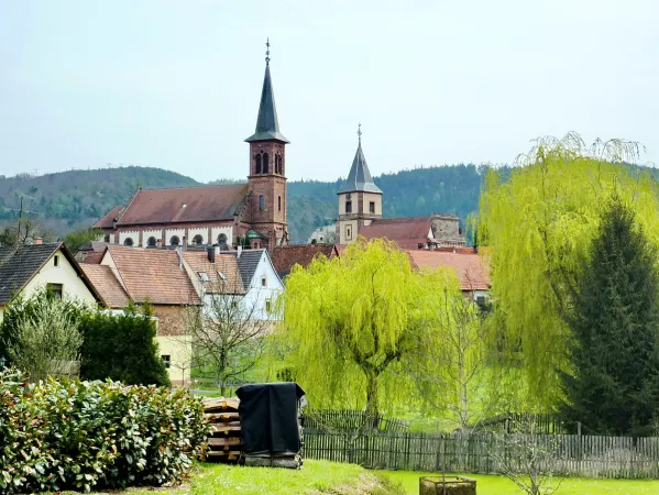 Bild von Ellen Haider