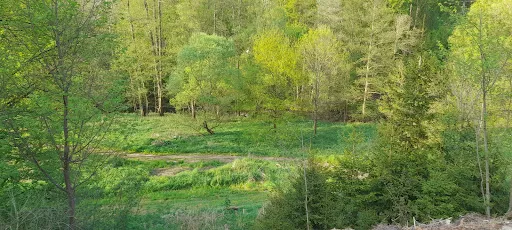 Bild von Gaststätte Waldfrieden