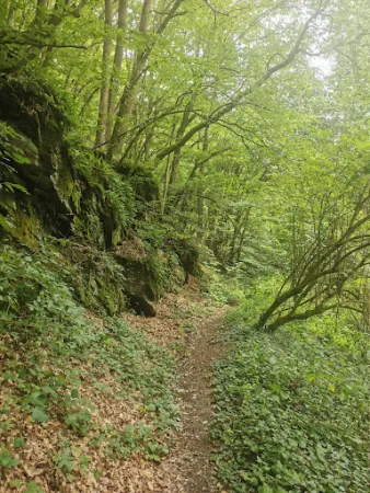 Bild von Fettsmühle