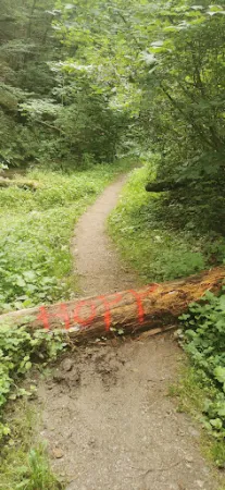 Bild von Fettsmühle