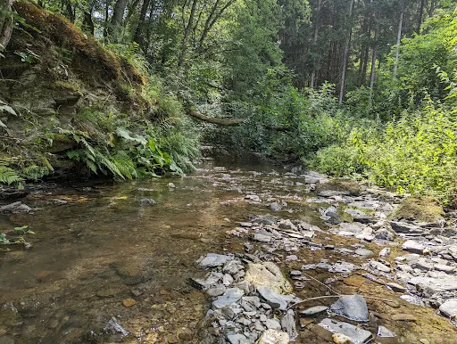 Bild von Fettsmühle