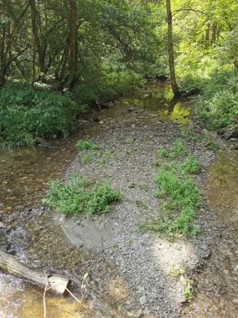 Bild von Fettsmühle